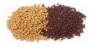 Mustard seeds, Shelf Life : Up To 2 Years When Stored Properly.