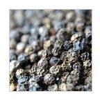 Black Pepper Seeds
