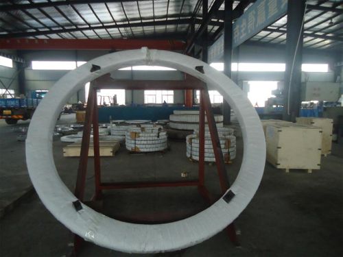 Slewing Ring