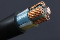 LT Armoured Cable