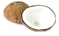 Coconut