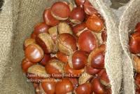 Fresh Chestnut