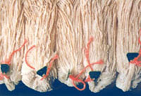 Sheep Casing, Certification : standard, Packaging Type : whited