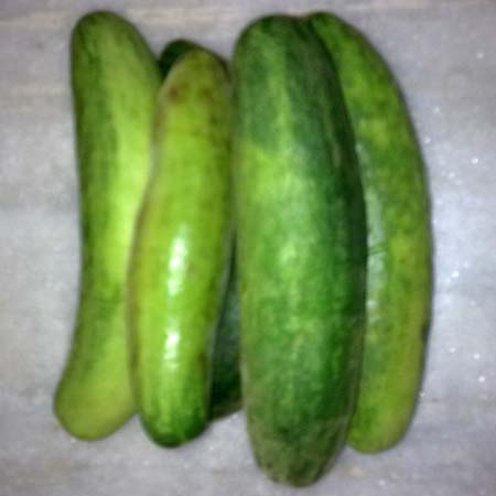 Cucumber