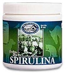 Spirulina Powder