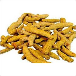 Turmeric finger, Application : Cooking