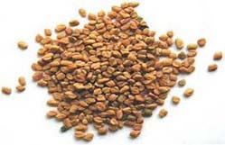 Fenugreek Seeds