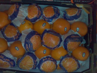 Oranges, Packaging Type : full collored, Variety : navel, valencia