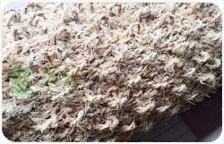 Coir Loop Fabrics