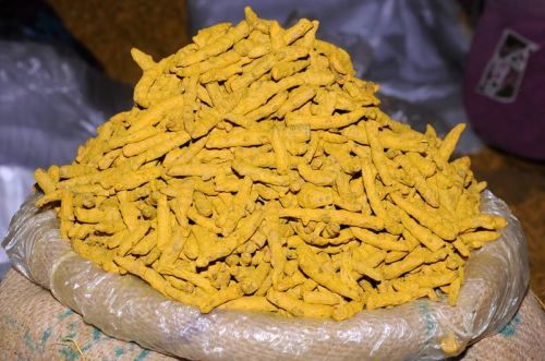 Natural Polished Turmeric Fingers, For Cooking, Spices, Food Medicine, Grade Standard : Food Grade