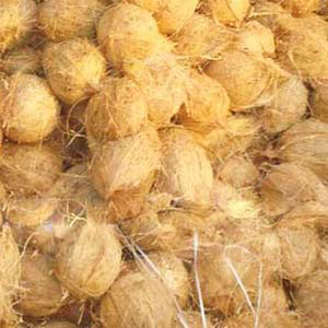 Husked Coconuts