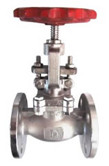 Globe Valve