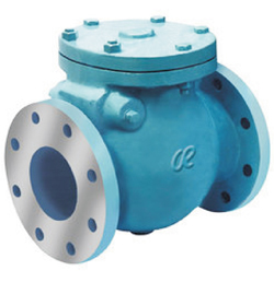 Swing Check Valve