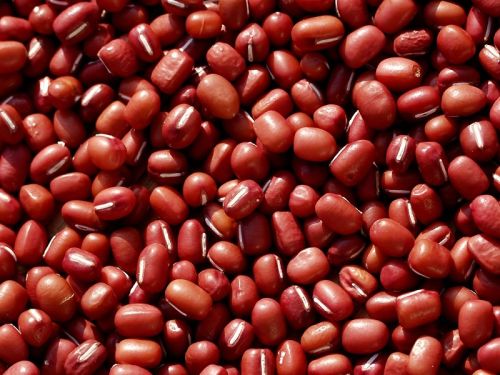 Red Beans For Cooking