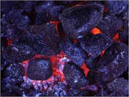 Steam coal