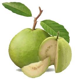 Fresh Guava