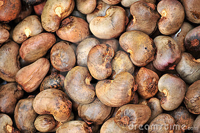 Raw Cashew Nuts, Usage : Light Sweet