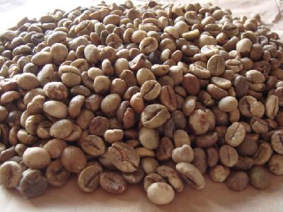 Robusta Green Coffee Bean