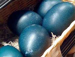 Emu Eggs