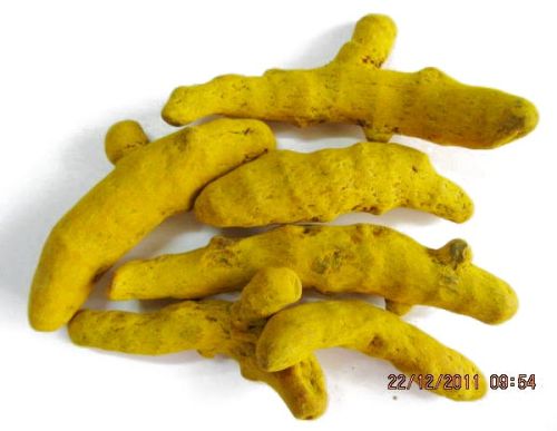 Turmeric Fingers