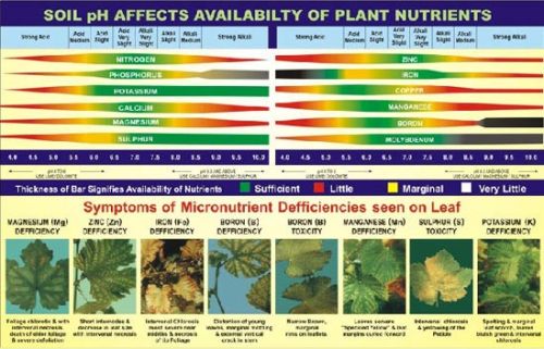 Micronutrient Fertilizer