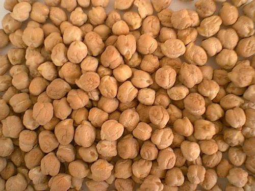 White Chickpeas