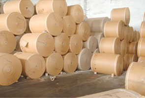 Kraft Paper Rolls