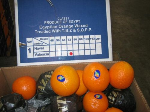 Navel Orange 42, 48, 56, 64, 72, 80, 88, 100, 113