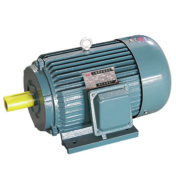 Three phase electric motor