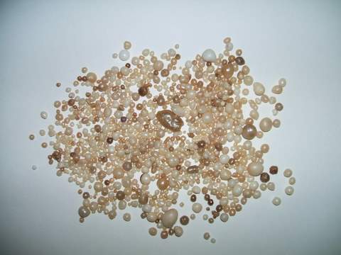 Natural Pearls, Cultured Pearls