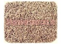 Cumin Seeds, For Cooking, Style : Dried