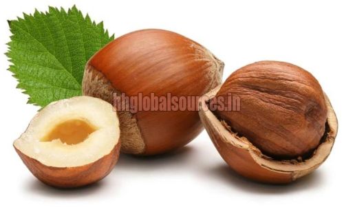 Hazelnuts, For Dishes, Edible, Making Oil, Snack, Certification : FSSAI Certified