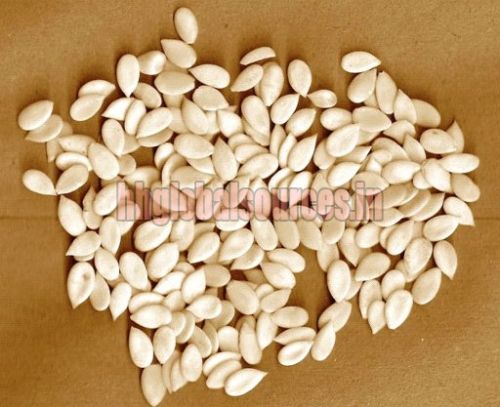 Organic Muskmelon Seeds, For Agriculture, Cooking, Food, Medicinal, Packaging Type : Jute Bags, Plastic Packets