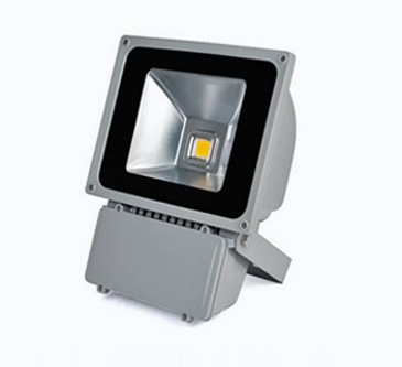 100W LED Flood Light