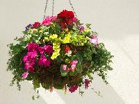 Wicker Hanging Baskets, Technics : Hand Made