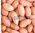 Groundnut Kernels