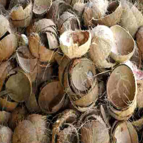 Coconut shell