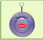 Butterfly Valve