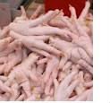 Fresh Processed Frozen Chicken Feet, Brand Name : STEPMANYFARM