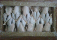Whole Frozen Chicken, Brand Name : Truman Food