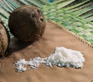 Desiccated Coconut, Packaging Type : White