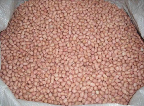 Peanut, Packaging Type : red