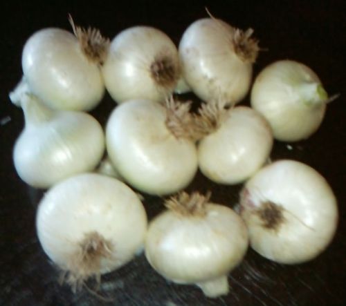 White Onions