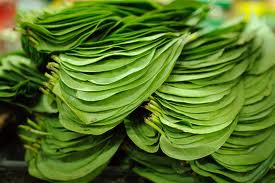 Betel Leaves