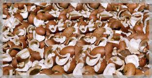 Coconut copra Form : Solid