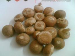 Betel nuts, Storage : Cool And Dry Place