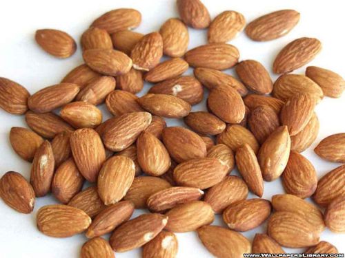 Fresh Sweet Almond Nuts