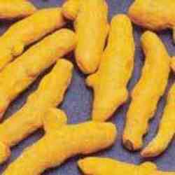 Tumeric Finger