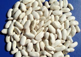 White kidney beans, Application : Cooking, Salads, Soups