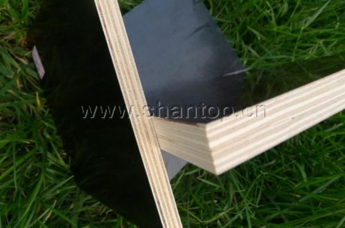 Poplar MDF Board 4*8ft